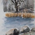 Asiakaskuva Rembrandt Watercolour 5 ml - keltainen/oranssi-2-keltainen