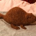 Asiakaskuva Lettlopi 50g - Keskiruskea