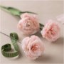 Mini DIY Kit Crepe Paper - Neilikat
