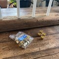 Asiakaskuva Kynttil�njalka 25 kpl 21 mm