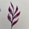 Asiakaskuva Canson XL Aquarelle 300g - A5