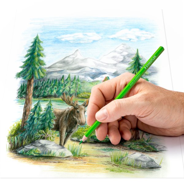 Värikynät Staedtler 146C 48 väriä - 100% PEFC Värikynät Staedtler 146C 48 väriä - 100% PEFC