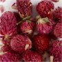 Kuivatut kukat - Puna-apila - 15 g
