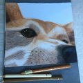 Asiakaskuva V�rikyn� Polychromos - 180 Raw Umber