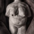 Asiakaskuva Sculpey Original Clay 800g - Valkoinen