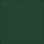 Plus Color Hobby maali - tummanvihre - 60 ml