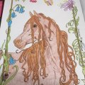 Asiakaskuva V�rikyn� Polychromos - 187 Burnt Ocher