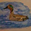 Asiakaskuva Akvarellikyn� Albrecht D�rer - 174 Chromium Green Opaque