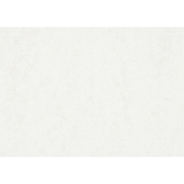 Vesivripaperi - valkoinen - A2 - 200 g - 100 arkkia