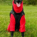 Asiakaskuva Wellness Fleece Red - 150 cm