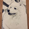 Asiakaskuva Copic Ciao - C-3 - Cool Grey No. 3