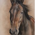 Asiakaskuva V�rikyn� Polychromos - 186 Terracotta