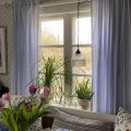 Asiakaskuva Puuvillakangas Gingham Medium neli�t - Vaaleansininen-Valkoinen - 140 cm