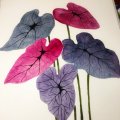 Asiakaskuva Akvarellilohko Hahnem�hle Britannia 300g Matta - 24x32cm