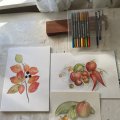 Asiakaskuva Kaksipuoliset akvarellikyn�t Design Journey - 18 kyn��