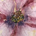 Asiakaskuva Canson XL Aquarelle 300g - A4