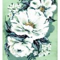 Asiakaskuva Canson Montval 300g hienojakoinen - 40x50 cm