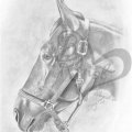 Asiakaskuva V�rillinen paperi 50 x 70 cm - s�teilev� valkoinen 10 arkkia / 130 g / m�