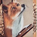Asiakaskuva Pastellikyn� PITT - 180 Raw Umber