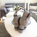 Asiakaskuva 
