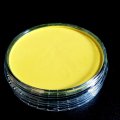 Asiakaskuva PanPastel - Hansa Yellow