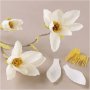 Mini DIY Kit Crepe Paper - Magnolia Branch