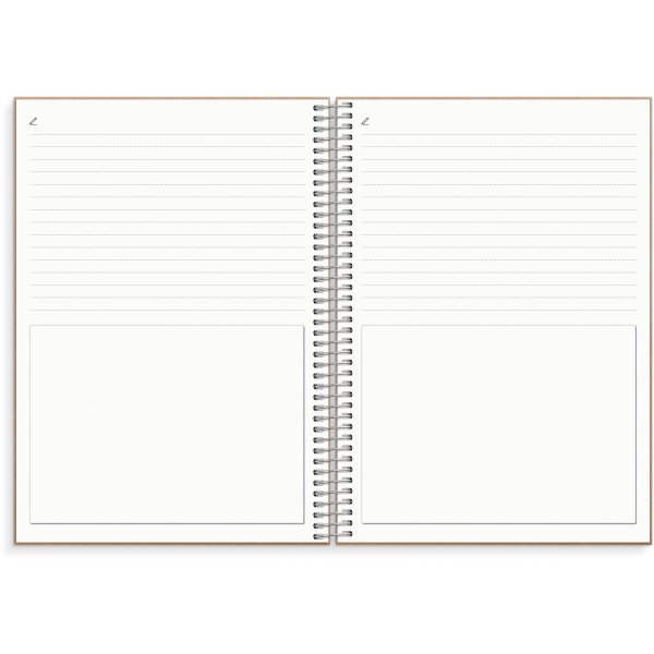 Tasapainoloki Tasapainoloki