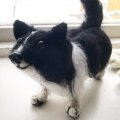 Asiakaskuva Huovutusvilla - musta 50 g Merinovilla superhienoa