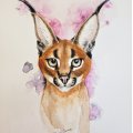 Asiakaskuva Canson XL Aquarelle 300g - A3
