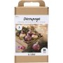 DIY Kit Decoupage - Joulunpunainen - Kuivatut kukat