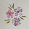 Asiakaskuva Akvarellimaali W&N Professional Half cup - 491 Permanent mauve