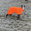 Asiakaskuva Fleece kangas 150 cm - Neon Orange