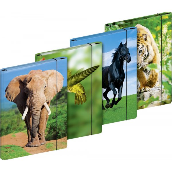 Kansio - A4 Animals