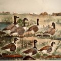 Asiakaskuva Synteettinen sivellinsarja W&N Foundation Watercolour - No. 10