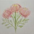 Asiakaskuva Akvarellimaali W&N Cotman 8ml Tube - 095 kadmiuminpunainen s�vy