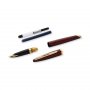 Tytekyn Waterman Carne Marine Amber - Kultainen koristelu - Medium Blue