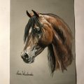Asiakaskuva Pastellilohko Hahnem�hle Velour Colored 260g - 24x32cm
