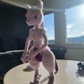 Asiakaskuva Lady 50g - Baby Lavender