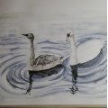 Asiakaskuva V�rikyn� Polychromos - 101 White