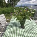 Asiakaskuva Suojapeite ruudullinen - vihre�