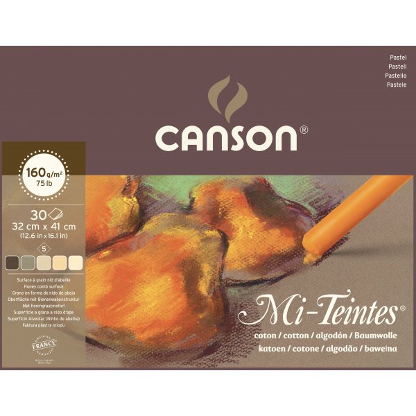 Canson Mi-Teintes Pastellipaperi Terre 160g - 32x41 cm