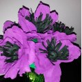 Asiakaskuva Kreppipaperi 50 x 250 cm - mauve