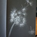 Asiakaskuva Luonnosvihko Sakura Musta paperi 140g 80 arkkia - 13x21 cm