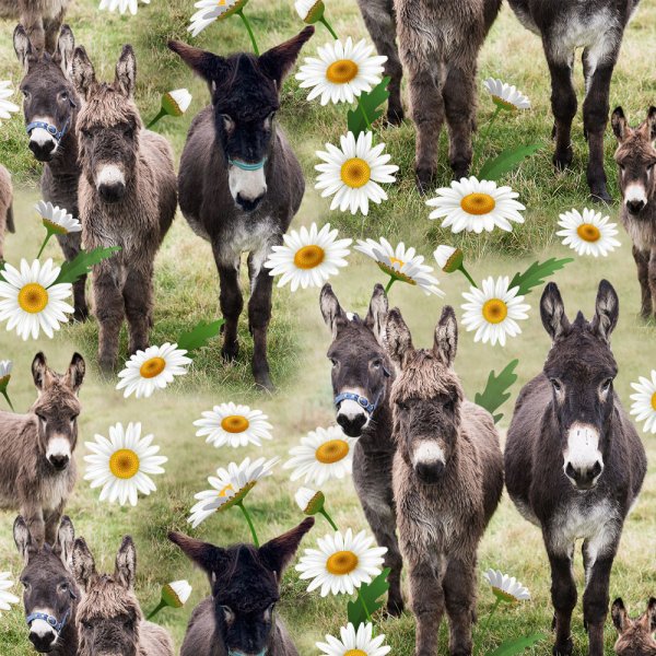 Kuviollinen trikoo 150 cm - Donkey Joe