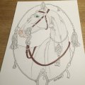 Asiakaskuva V�rikyn� Polychromos - 189 Cinnamon
