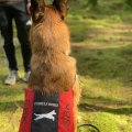 Asiakaskuva Majavan nylon - V�rikoodi: 4 - punainen - 150 cm