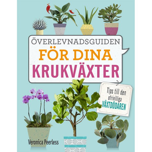 Huonekasveidesi selviytymisopas: Vinkkej tahattomille kasvien tappajille