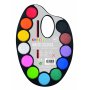 Paletti vesiv�reill� 12 v�ri�