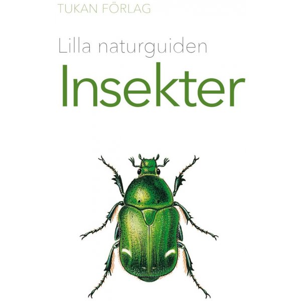 Pieni luontoopas: Hynteiset