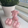 Asiakaskuva V�ripigmenttitikut - vanha ruusu 2 kpl.